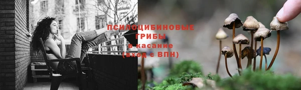 каннабис Арсеньев